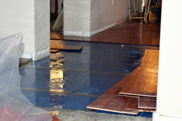 Professional Water Damage Repair technician working in Rochester, IN